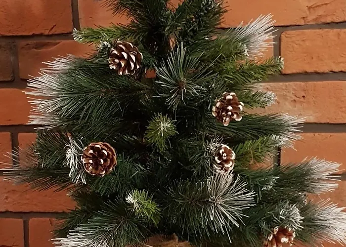 Apartamenty Bachledzki Wierch, Zakopane
